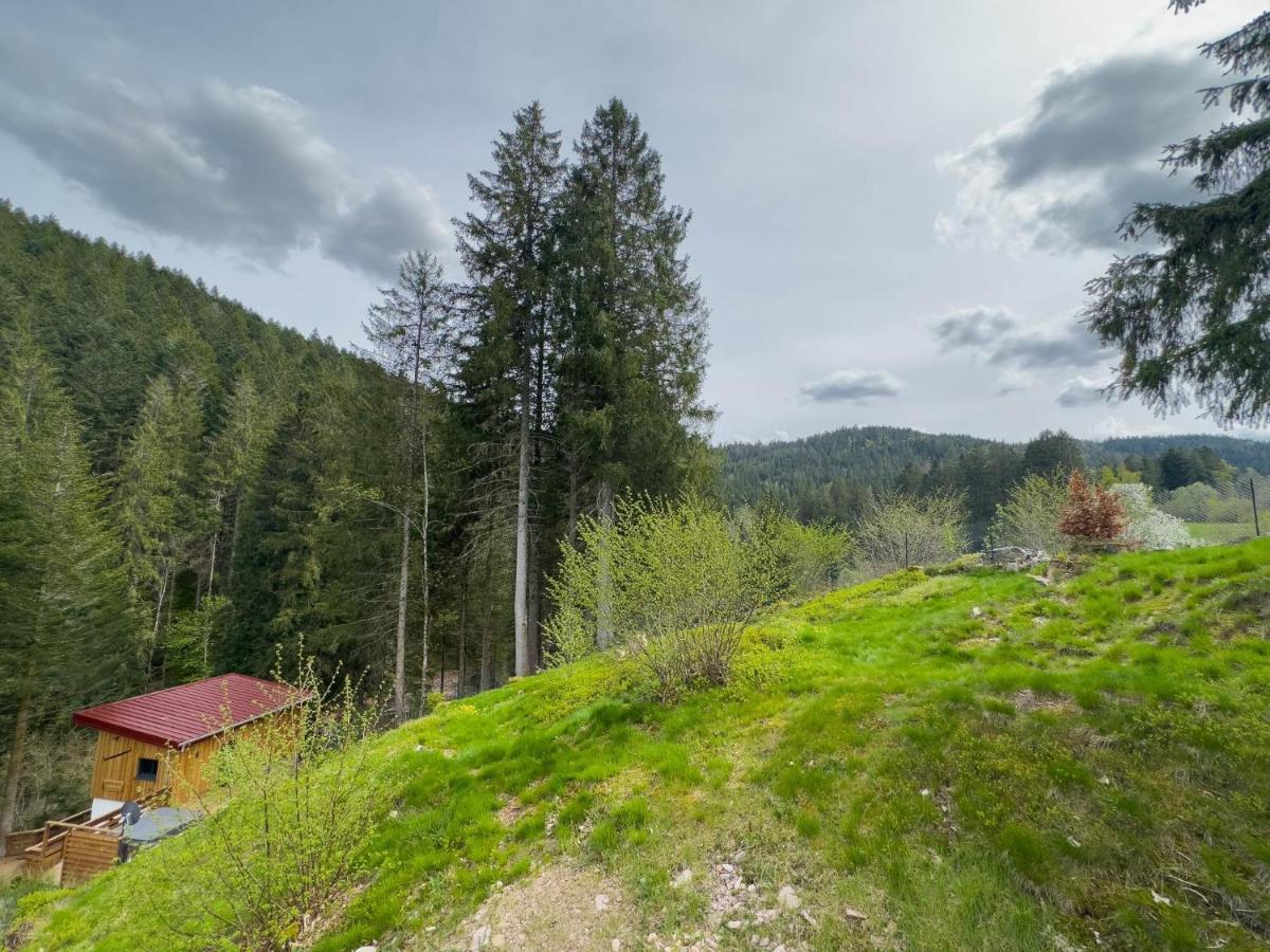 Le Refuge Perche Du Saut De La Bourrique Spa, Terrain Cloture Gérardmer Extérieur photo