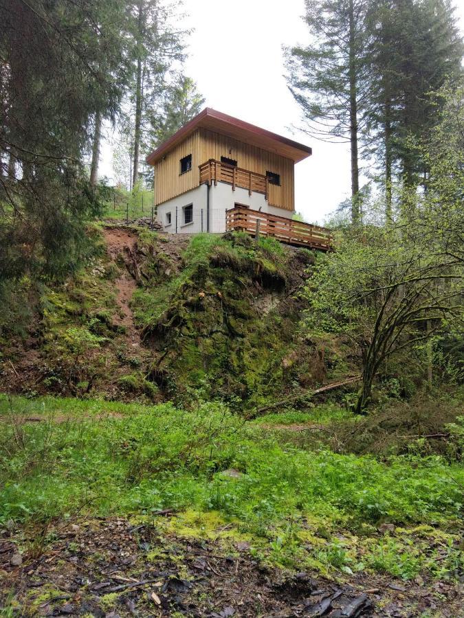 Le Refuge Perche Du Saut De La Bourrique Spa, Terrain Cloture Gérardmer Extérieur photo