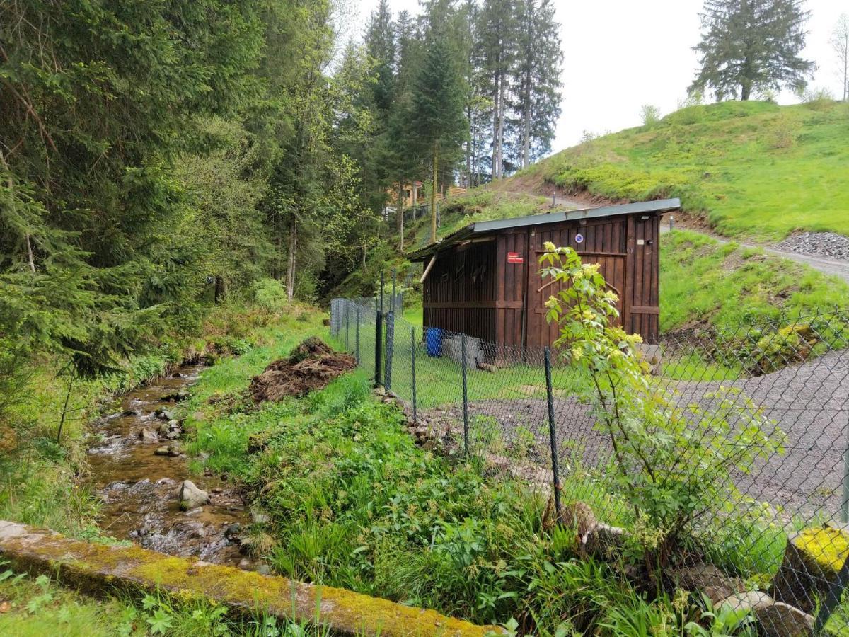 Le Refuge Perche Du Saut De La Bourrique Spa, Terrain Cloture Gérardmer Extérieur photo