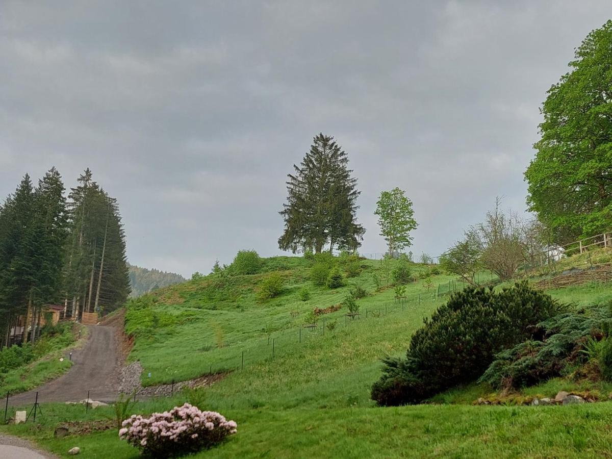 Le Refuge Perche Du Saut De La Bourrique Spa, Terrain Cloture Gérardmer Extérieur photo