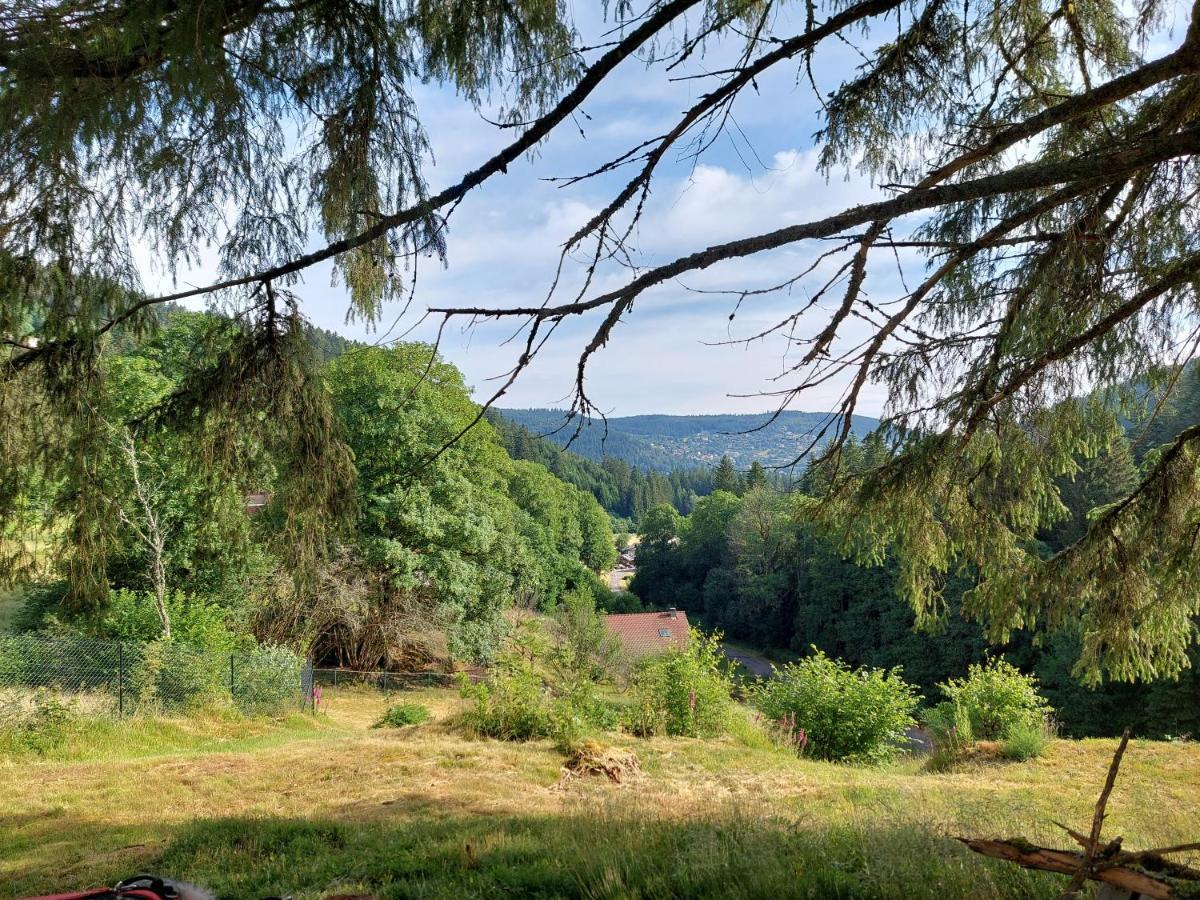 Le Refuge Perche Du Saut De La Bourrique Spa, Terrain Cloture Gérardmer Extérieur photo
