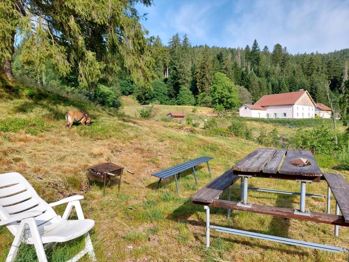 Le Refuge Perche Du Saut De La Bourrique Spa, Terrain Cloture Gérardmer Extérieur photo